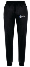Load image into Gallery viewer, Terry Fox Athletic Joggers
