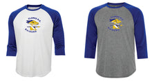 Load image into Gallery viewer, Clarke HS Performance Baseball Tee
